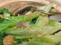 -PO PARK东方宝泰