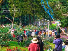 -人民公园(罗湖区)