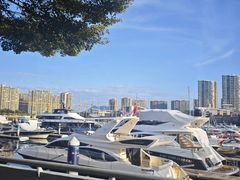 -海南清水湾莱佛士酒店