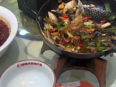 -蜀阳餐厅·金牌水煮鱼