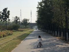 -永定河休闲森林公园