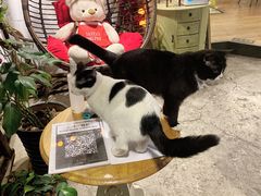 -么么咖啡(燕郊店)