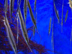 -多彩贵州城极地海洋世界