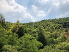 -天目湖御水温泉·度假酒店