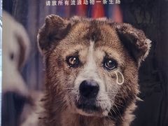 -桂园餐厅(五大道店)