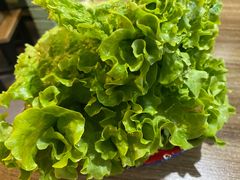 生菜-炙热童年·老北京炙子烤肉(南锣鼓巷店)
