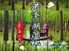 -泗洪洪泽湖湿地景区