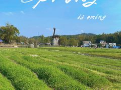 -红山村