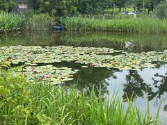 -白鹭湾湿地公园