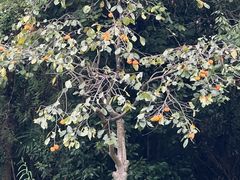 -烟水渔庄餐厅(西溪湿地店)