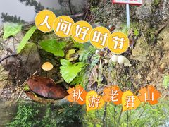 -老君山风景名胜区