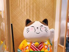 -屋虎猫馆(宝安大仟里店)