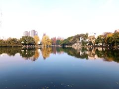 -西南交通大学(九里校区)