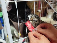 -乖乖宠物医院·猫科·骨科·24小时(云岗分院)