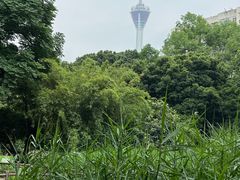 -成都市活水公园