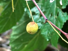 -周口店坡峰岭风景区
