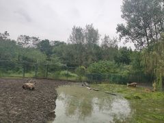 -溱湖国家湿地公园