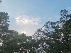 -长春市南湖公园