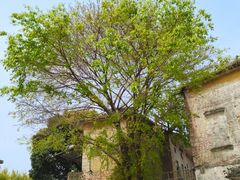 -广州市紫泥堂文化创意园景区