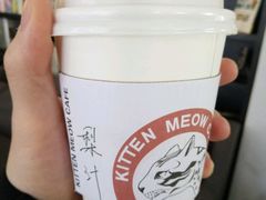 -吉丁鸟咖·异宠·寄养