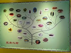 -上海昆虫博物馆