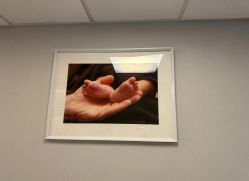 点击看大图 -杭州贝瑞斯美华妇儿医院·早孕·产检·儿科