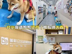 -美联众合爱康动物医院•复杂内科•肿瘤科•牙科•腔镜诊疗中心