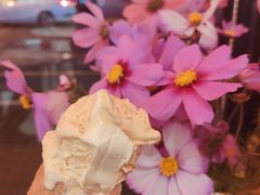 -Dal Cuore 达可芮冰淇淋(陕西北路店)