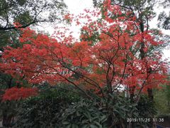 -韶山毛泽东同志故居