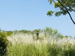 -盘龙城遗址博物院