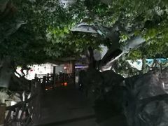 -苏州海洋馆