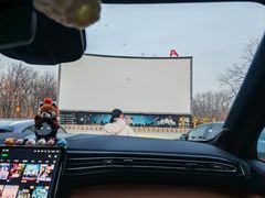 -枫花园汽车电影院(朝阳公园店)