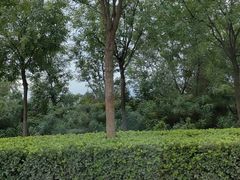 -河东池盐文化博览园