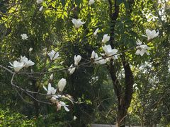 -云溪植物园