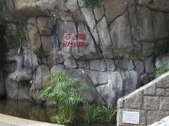 -九龙公园