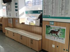-瑞派长江宠物医院·猫科·外科·24小时夜护(谊城公寓分院)