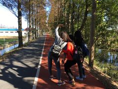 -上海长兴岛郊野公园