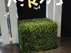 -莺花渡火锅·宋风江景火锅雅宴(长嘉汇店)