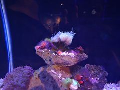 -海合安武汉极地海洋公园