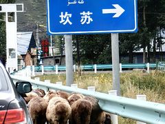 -新疆那拉提国家旅游度假区