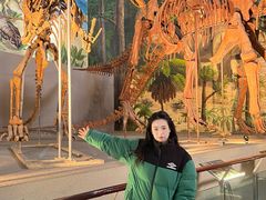 -中国西峡恐龙遗迹园