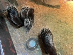 -酷嗒动物文化乐园(cutezoo西溪乐天城店)