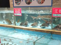 水产区-饭怕鱼(阳光100店)