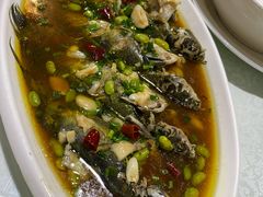 -呼吸森林·生态农庄农家乐私房菜