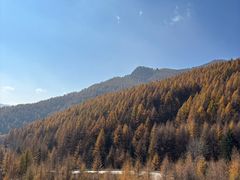 -芦芽山旅游度假区