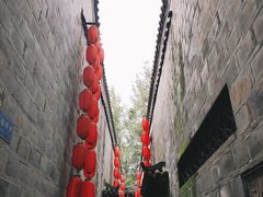 -树夏(锦里店)