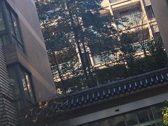 -杭州口腔医院(城西院区)