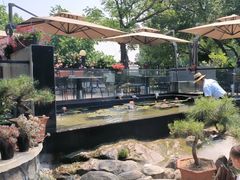 -蘇河湾·新鲁菜·泰山宴(泰山店)