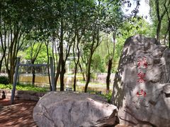 -西安市长乐公园