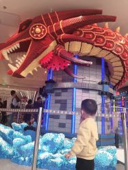-乐高品牌旗舰店(人民广场店)